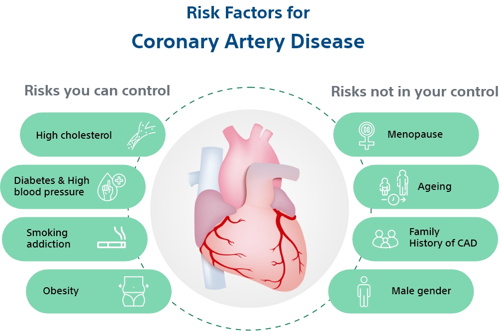 Risk Factors For Coronary Artery Diseases
